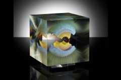 w.t.s.b.b. E 22 (2016) – 21x21x22 cm Optifloat, painted, glued, polished glass