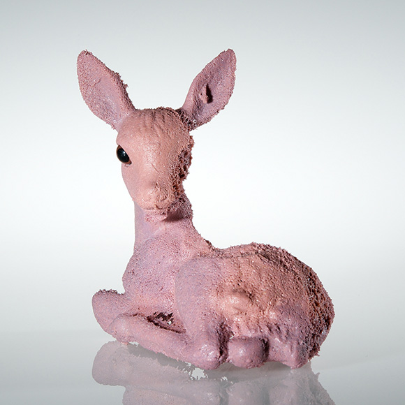 Sanders Little Deer · © Paul Niessen