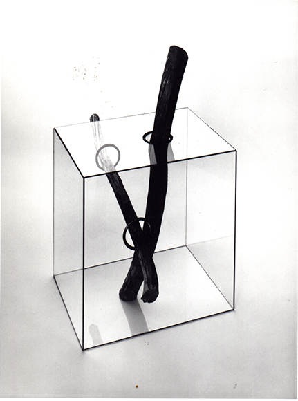 Glass cube with wood