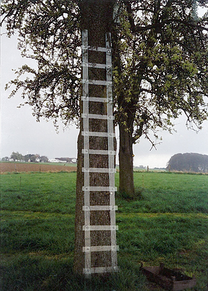Ladder