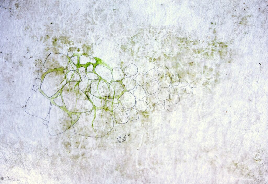 Cold Frame – Detail · © Brosterhus-Meyer