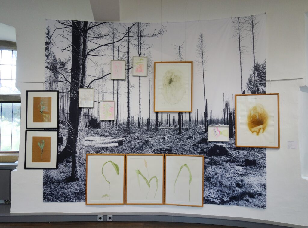 Wild Meadow – Exhibition view 1 · © Brosterhus-Meyer