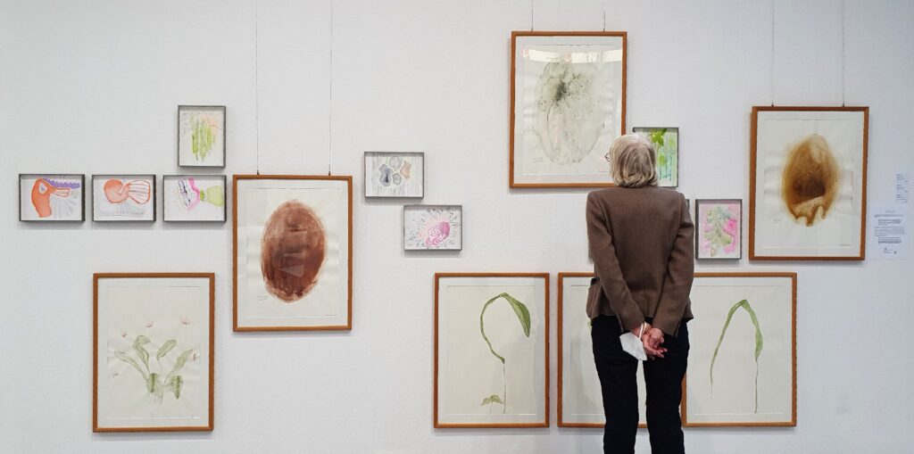 Wild Meadow – Exhibition view 2 · © Brosterhus-Meyer