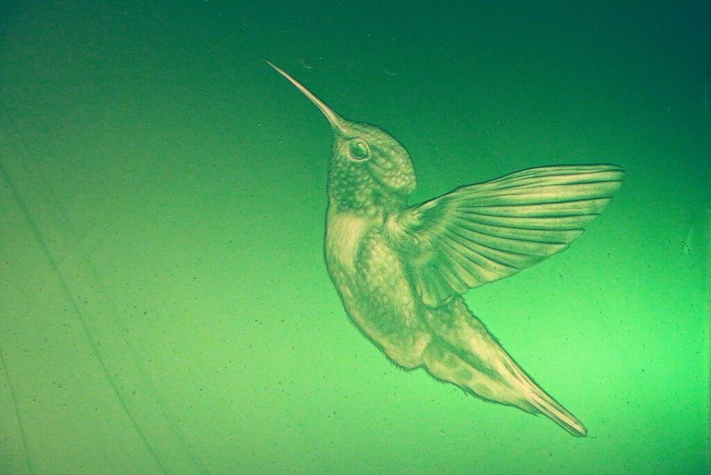 Hummingbird · 2023 · 200x220x20 · © Dongmin Lee