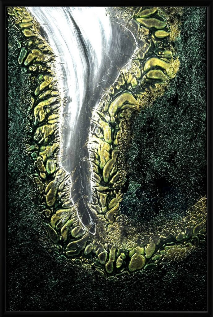 Mystic Forest · © Tim Neldner