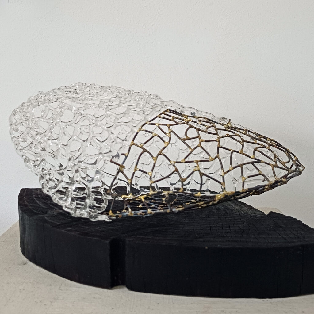 Kokon I · Glas, Draht, geflämmtes Holz · © Regine Rostalski